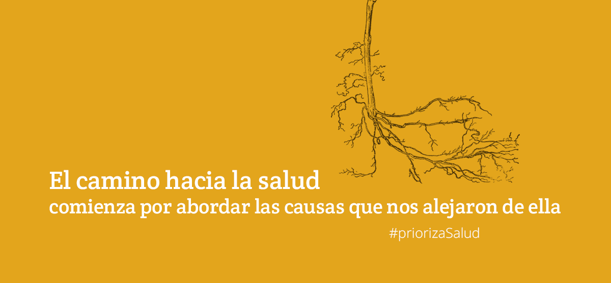 El camino hacia la salud comienza por atender las causas que nos alejaron de ella.